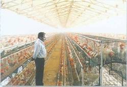namakkal1 namakkal
